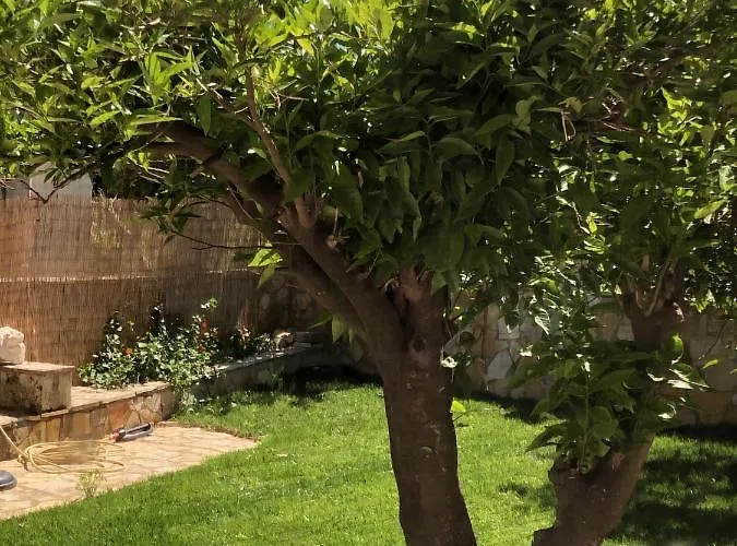 Lejlighed Petros & *